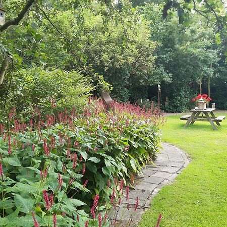 Bed and Breakfast Rest En Romte Birdaard Экстерьер фото